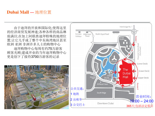 阿联酋迪拜购物中心项目整体商业运营策略报告