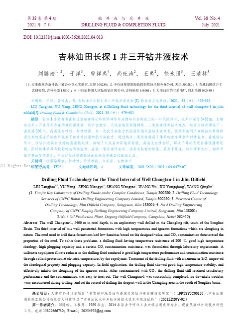 吉林油田长探1井三开钻井液技术
