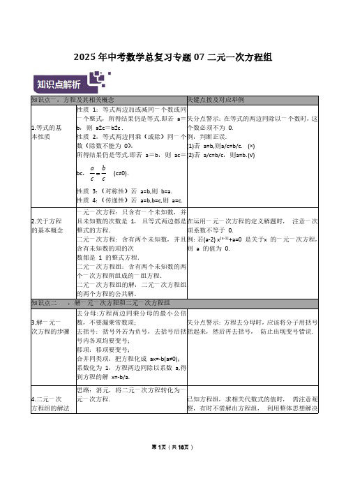 2025年中考数学总复习专题07 二元一次方程组(附答案解析)