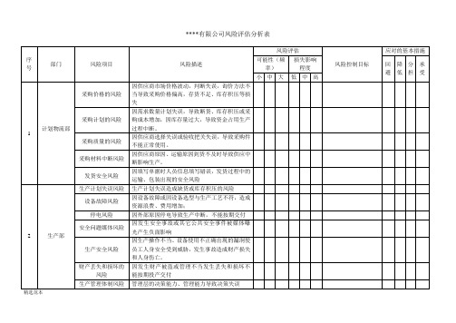 风险评估分析表