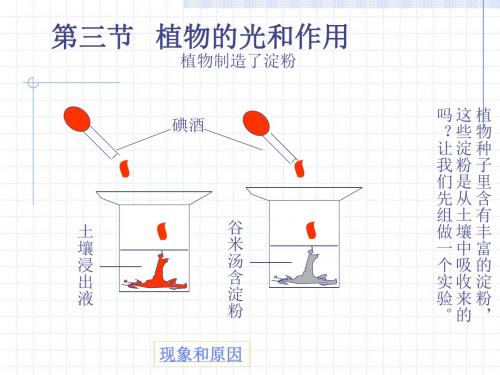 【生物课件】光合作用二