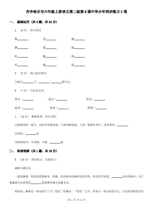 齐齐哈尔市六年级上册语文第二组第8课中华少年同步练习C卷