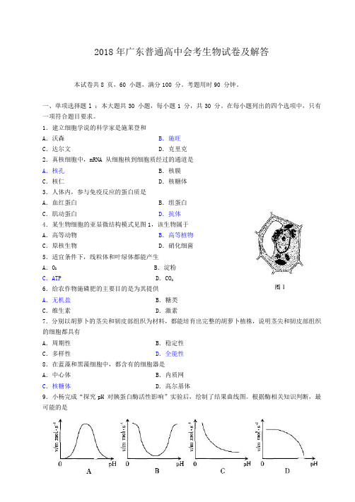 2018年广东高中会考生物试卷及解答