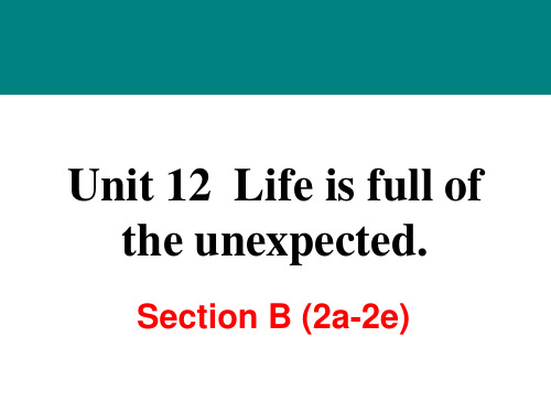 人教版英语九年级下册Unit 12 Section B(2a-2e)课件