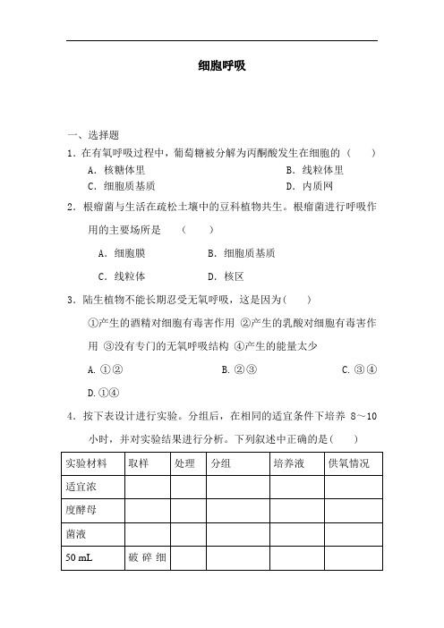 最新高中生物-高一生物细胞呼吸检测试题31 精品