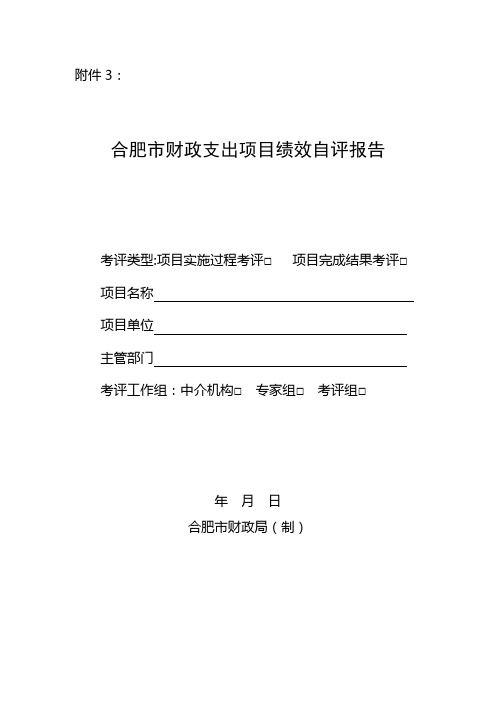 合肥市财政支出项目绩效自评报告范文