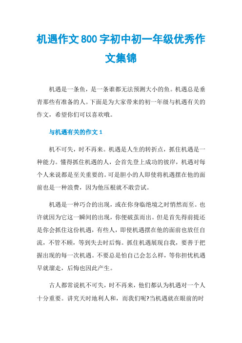 机遇作文800字初中初一年级优秀作文集锦