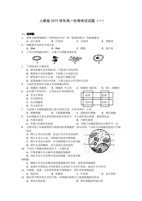 人教版2019学年高一生物考试试卷和答案(共10套 )