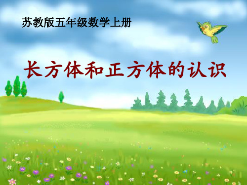 新苏教版小学数学五年级上册公开课课件 长方体和正方体的认识课件