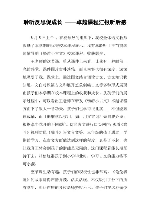 聆听反思促成长 ——卓越课程汇报听后感