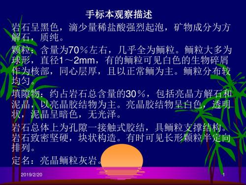 亮晶鲕粒灰岩镜下鉴定汇总