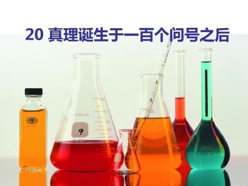 20 真理诞生于一百个问号之后(第二课时)