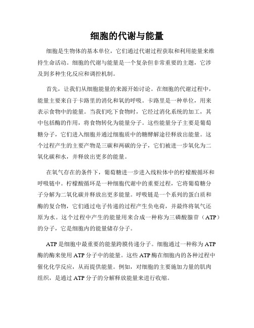 细胞的代谢与能量