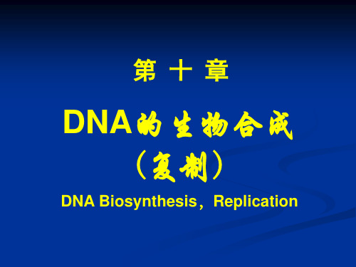 生物化学课件—DNA的生物合成(复制)