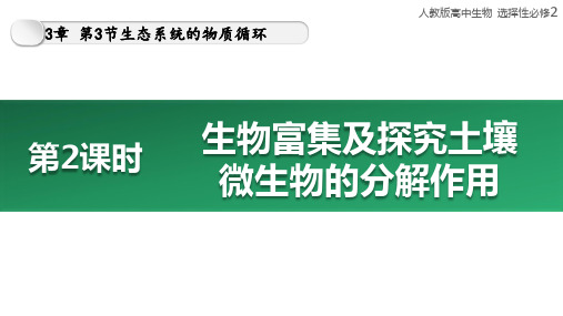 【化学课件】生物富集及探究土壤微生物的分解作用 23-24学年高二上人教版(2019)选择性必修2