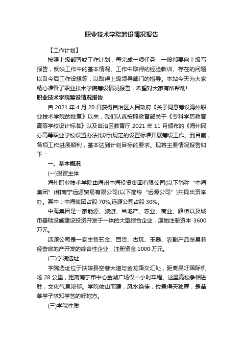 职业技术学院筹设情况报告