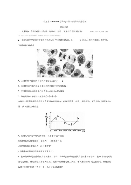 安徽省合肥市2018-2019学年高三第三次教学质量检测理科综合试题