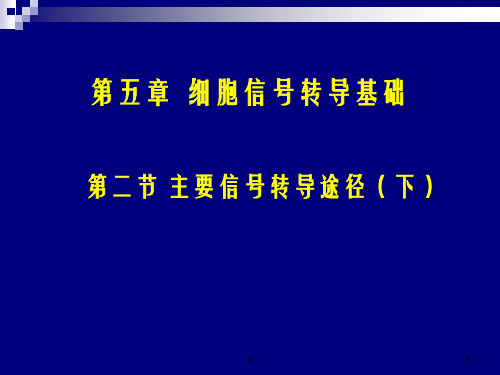 《药学分子生物学》第5章细胞信号转导基础