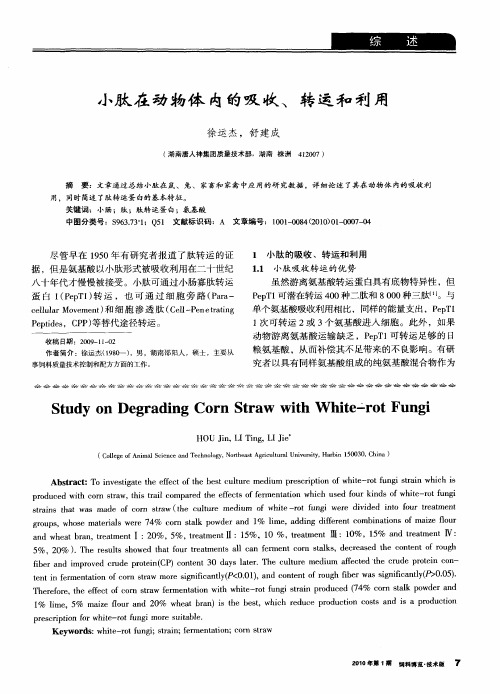 小肽在动物体内的吸收、转运和利用