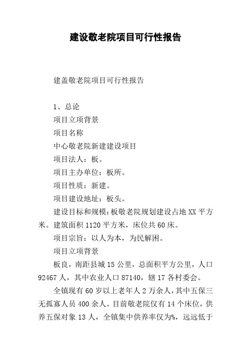 建设敬老院项目可行性报告.docx