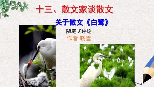 【推荐】九年级语文上册第四单元13散文家谈散文关于散文白鹭课件苏教版9