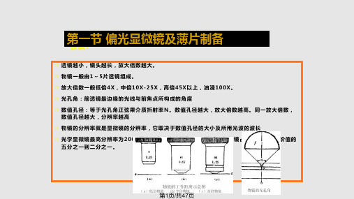 偏光显微镜及薄片制备PPT课件