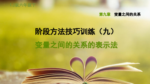 鲁教版五四制六年级数学下册第九章《变量之间的关系》阶段方法技巧训练(九) 专训1 变量之间的关系的表