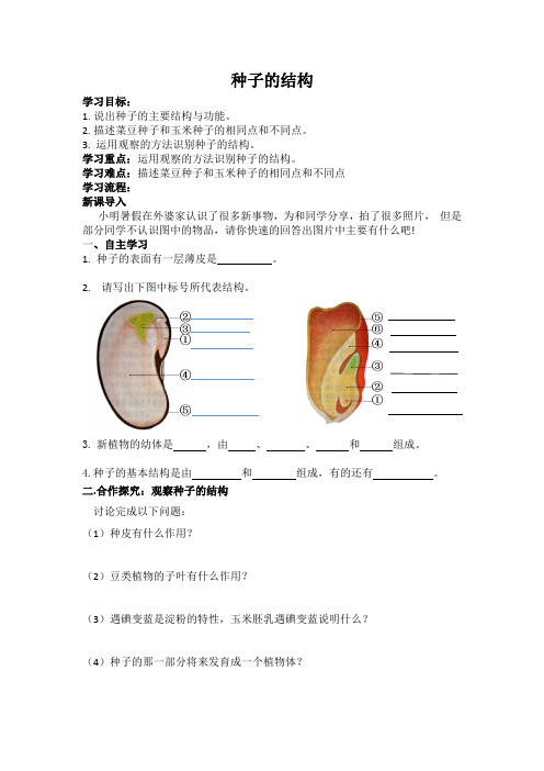 人教2011初中生物七年级上册《第二章  被子植物的一生 与生物学有关的职业  农业技术员和绿色证书》_3