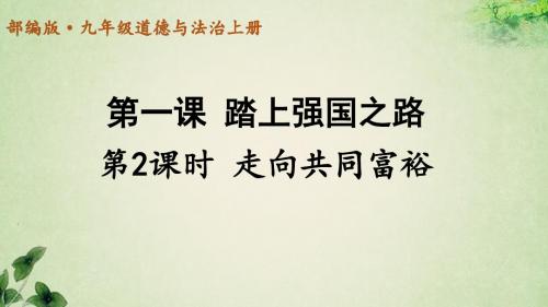 人教部编版九年级道德与法治上册《走向共同富裕》教学课件及课时作业