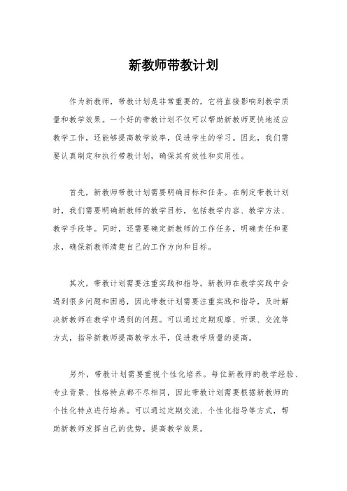 新教师带教计划