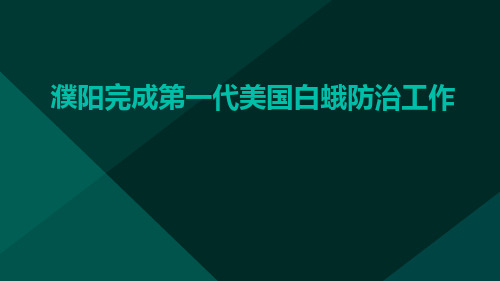 濮阳完成第一代美国白蛾防治工作