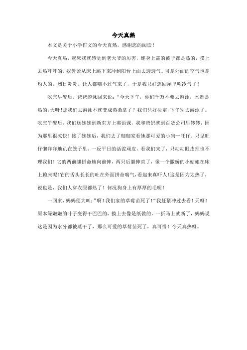 今天真热_小学作文
