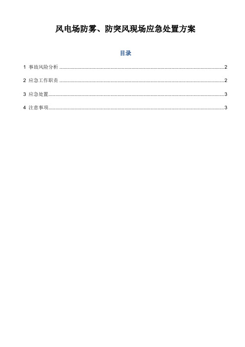 风电场防雾、防突风现场应急处置方案