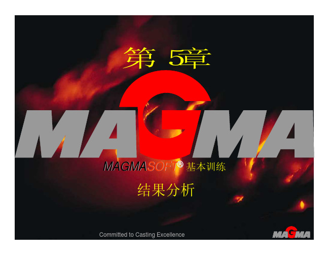 第5章MAGMA结果分析