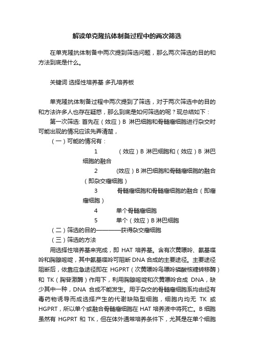 解读单克隆抗体制备过程中的两次筛选