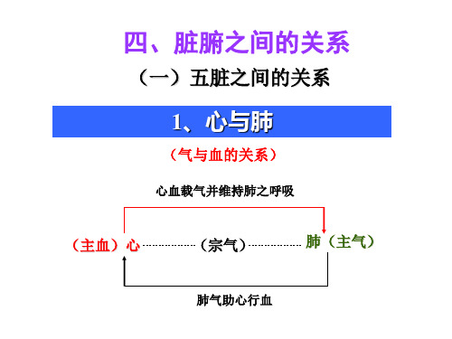 中医学PPT课件  藏象之脏腑关系