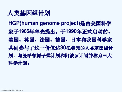 蛋白质的结构和功能4