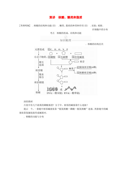 2020年高考生物一轮复习第1单元走近细胞及细胞有分子组成第4讲核酸糖类和脂质学案含解析必修1