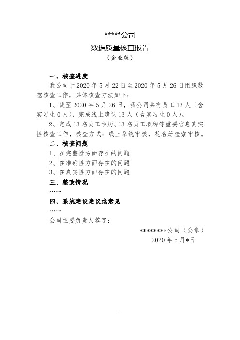 数据质量核查报告(企业版)