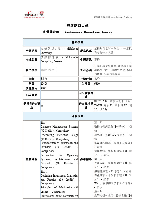 密德萨斯大学多媒体计算本科专业