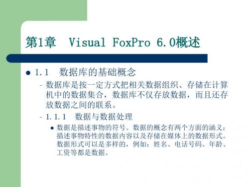 Visual FoxPro 6.0 程序设计第1章