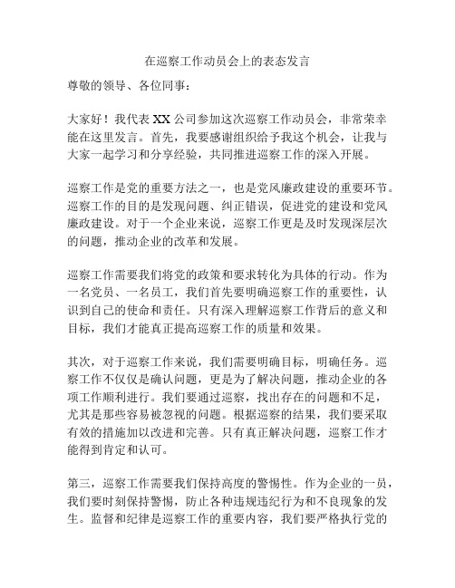 在巡察工作动员会上的表态发言