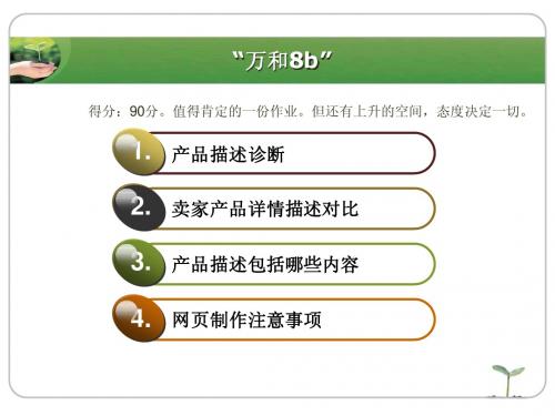 电器网店运营管理剖析电子商务案例分析