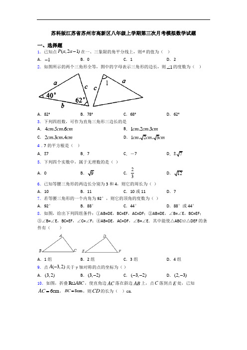苏科版江苏省苏州市高新区八年级上学期第三次月考模拟数学试题
