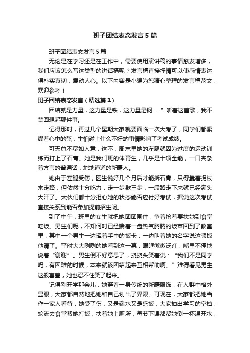 班子团结表态发言5篇