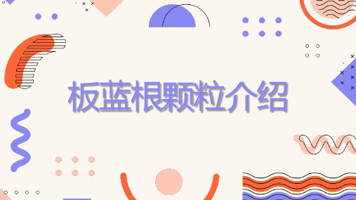 板蓝根颗粒介绍