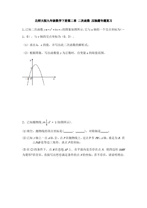 北师大版九年级数学下册第二章 二次函数 压轴题专题复习(无答案)