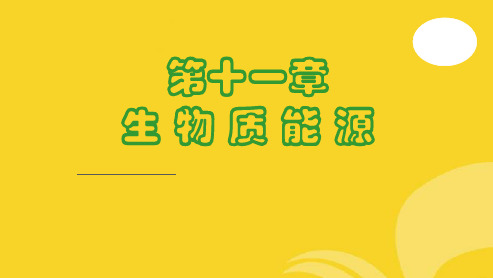 生物质能源(共71张PPT)