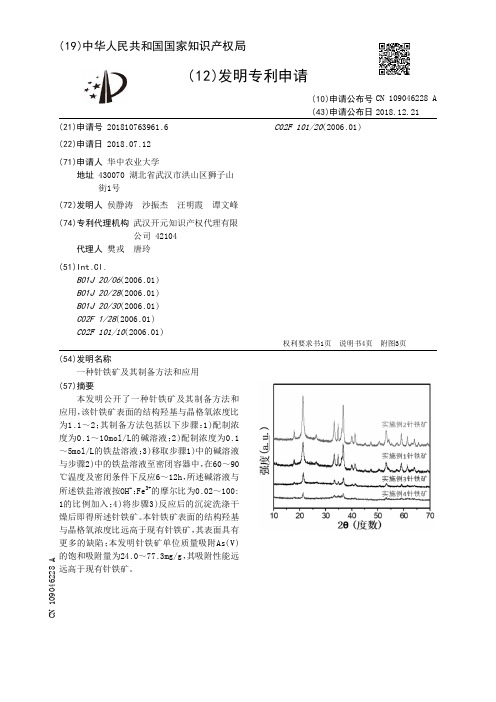 一种针铁矿及其制备方法和应用[发明专利]