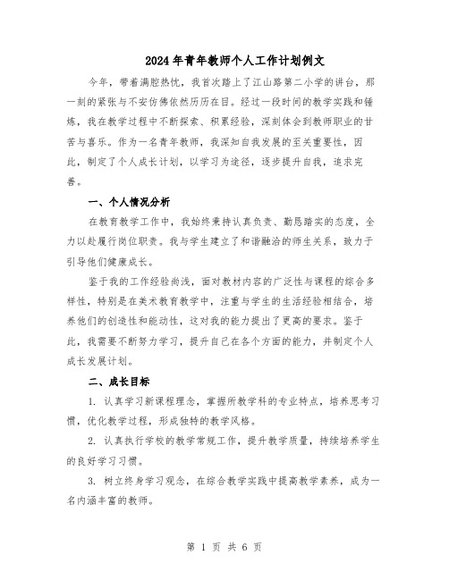 2024年青年教师个人工作计划例文（3篇）